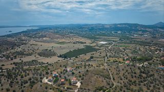 Αγροτεμάχια 4.008 τ.μ. για πώληση
