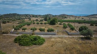 Αγροτεμάχια 4.008 τ.μ. για πώληση, Αργολίδα, Ερμιόνη-thumb-20