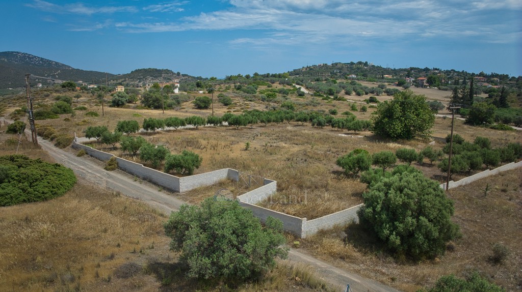 Αγροτεμάχια 4.008 τ.μ. προς πώληση, Κουβέρτα
