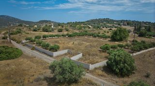 Αγροτεμάχια 4.008 τ.μ. για πώληση, Αργολίδα, Ερμιόνη-thumb-4