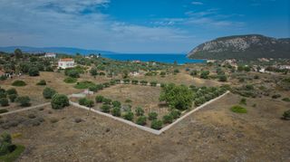 Αγροτεμάχια 4.008 τ.μ. για πώληση, Αργολίδα, Ερμιόνη-thumb-5