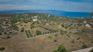 Αγροτεμάχια 4.008 τ.μ. για πώληση, Αργολίδα, Ερμιόνη-thumb-18