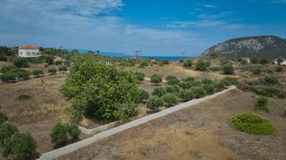 Αγροτεμάχια 4.008 τ.μ. για πώληση, Αργολίδα, Ερμιόνη-thumb-19