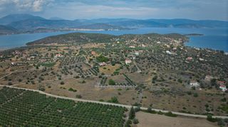 Αγροτεμάχια 4.008 τ.μ. για πώληση, Αργολίδα, Ερμιόνη-thumb-13