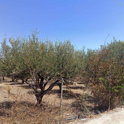 Land plot 500 sqm for sale, Heraklion Prefecture, Moires