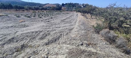 Αγροτεμάχια 5 τ.μ. για πώληση
