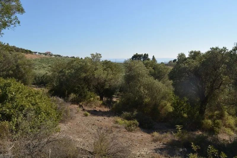 Οικόπεδο 10.500 τ.μ. προς πώληση, Βατοπέδι