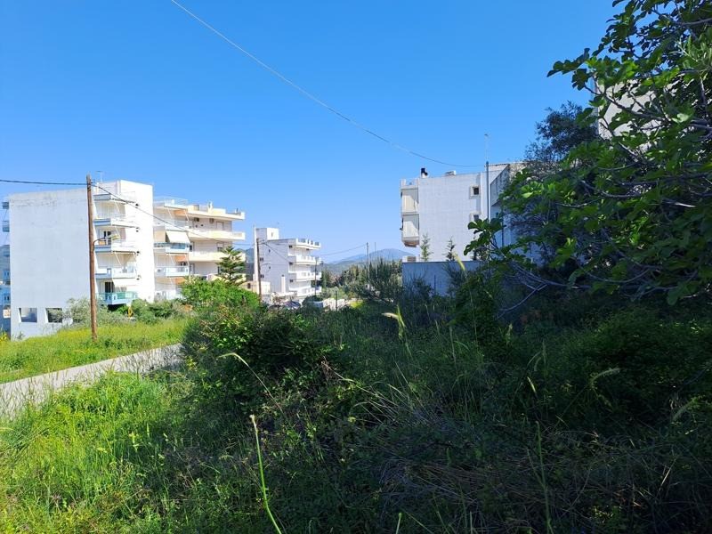 Οικόπεδο 245 τ.μ. προς πώληση, Λουτρά Αιδηψού