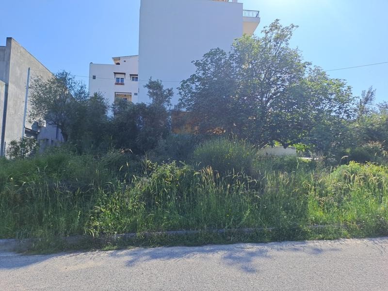 Οικόπεδο 245 τ.μ. προς πώληση, Λουτρά Αιδηψού