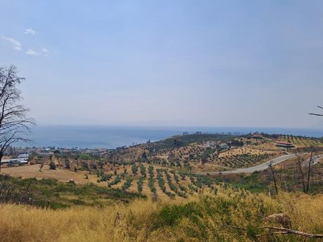 Land plot 4.200sqm for sale-Limni » Rovies
