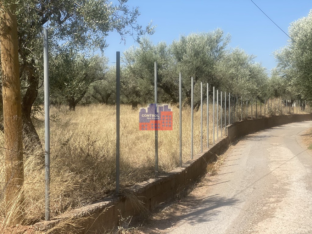 Αγροτεμάχια 7.000 τ.μ. προς πώληση, Κέντρο Αιγίου