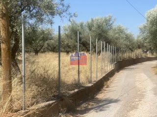Αγροτεμάχια 7.000 τ.μ. για πώληση, Αχαΐα, Αίγιο-thumb-1