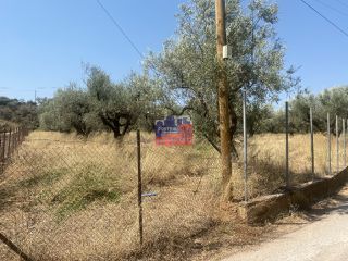 Αγροτεμάχια 7.000 τ.μ. για πώληση, Αχαΐα, Αίγιο-thumb-2