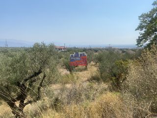 Αγροτεμάχια 7.000 τ.μ. για πώληση, Αχαΐα, Αίγιο-thumb-9