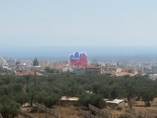 Αγροτεμάχια 7.000 τ.μ. για πώληση, Αχαΐα, Αίγιο-thumb-12