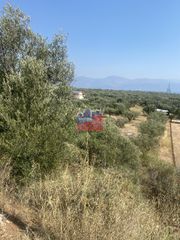 Αγροτεμάχια 7.000 τ.μ. για πώληση, Αχαΐα, Αίγιο-thumb-13
