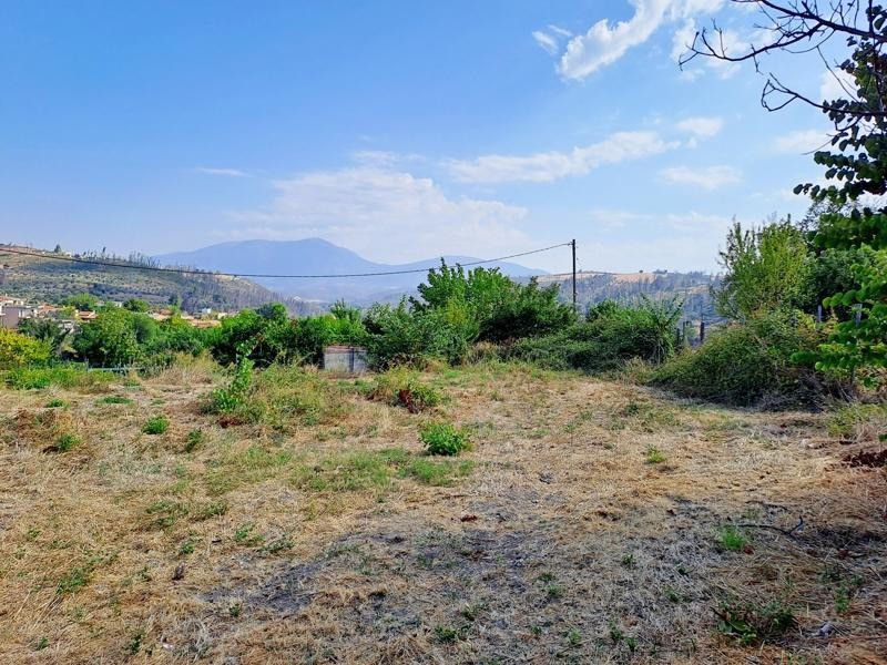 Οικόπεδο 1.600 τ.μ. προς πώληση, Στροφυλιά