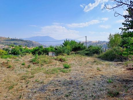Land plot 1.600sqm for sale-Kirea » Strofilia