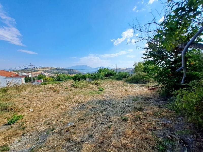 Οικόπεδο 1.600 τ.μ. προς πώληση, Στροφυλιά