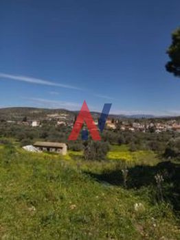 Οικόπεδο 1.700 τ.μ. για πώληση