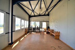 Άλλο 1.250 τ.μ. για ενοικίαση, Κορινθία, Βέλο-thumb-28