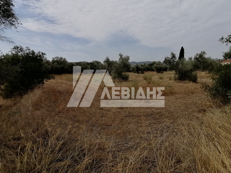 Οικόπεδο 4.045 τ.μ. προς πώληση, Πόλη Χίου