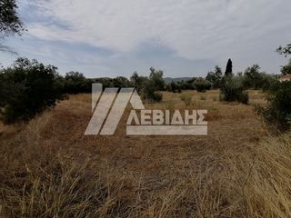 Οικόπεδο 4.045 τ.μ. για πώληση, Ν. Χίου, Χίος-thumb-2