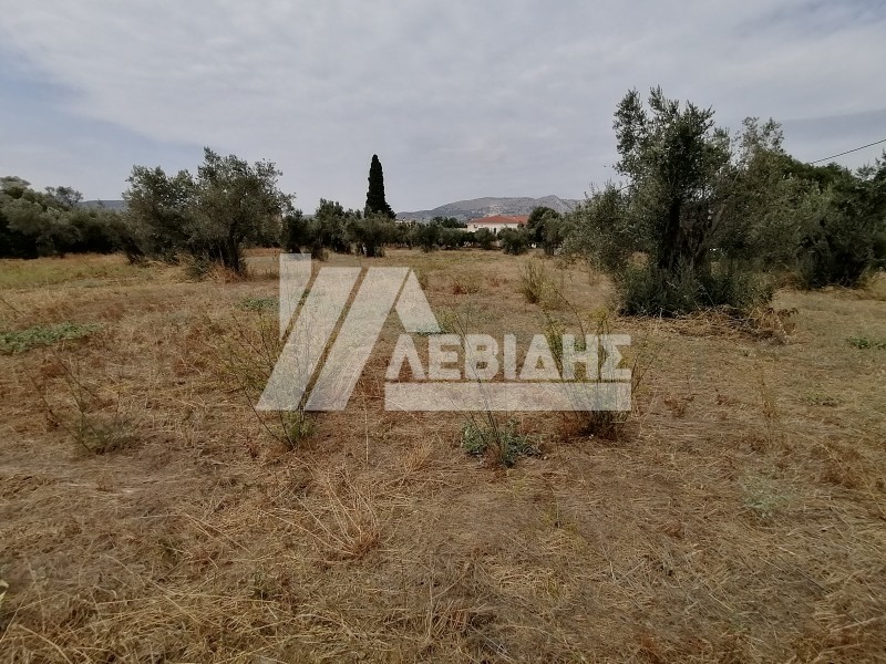 Οικόπεδο 4.045 τ.μ. για πώληση, Ν. Χίου, Χίος