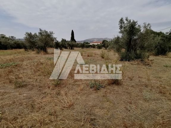 Land plot 4.045 sqm for sale, Chios Prefecture, Chios