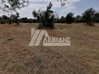 Οικόπεδο 4.045 τ.μ. για πώληση, Ν. Χίου, Χίος-thumb-1