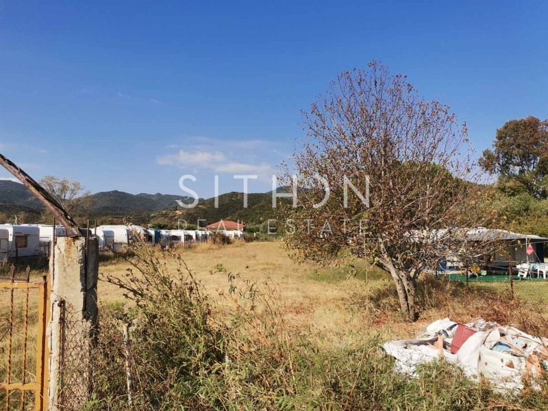 Αγροτεμάχια 5.623 τ.μ. προς πώληση, Σάρτη