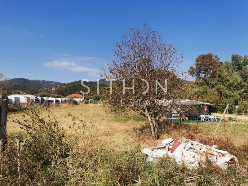 Αγροτεμάχια 5.623 τ.μ. προς πώληση, Σάρτη