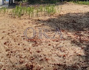 Οικόπεδο 932 τ.μ. προς πώληση, Άγιος Βασίλειος Ρίου-thumb-1
