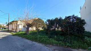 Οικόπεδο 700 τ.μ. για πώληση, Ν. Ηλείας, Λεχαινά-thumb-7