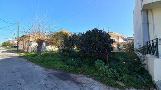 Οικόπεδο 700 τ.μ. για πώληση, Ν. Ηλείας, Λεχαινά-thumb-8
