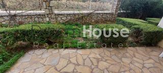 Studio / γκαρσονιέρα 30 τ.μ. για ενοικίαση, Αχαΐα, Πάτρα-thumb-3