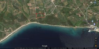 Αγροτεμάχια 15.000 τ.μ. για πώληση