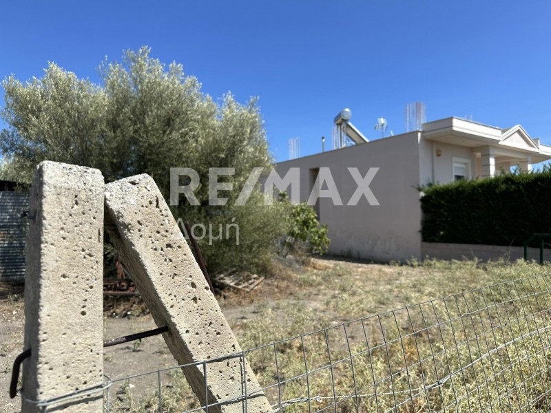 Οικόπεδο 558 τ.μ. πρός πώληση, Μαγνησία, Νέα Αγχίαλος