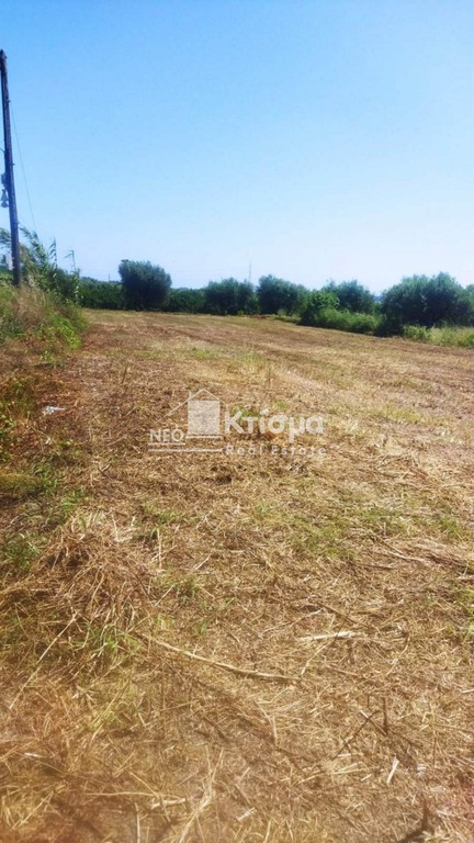 Οικόπεδο 1.942 τ.μ. προς πώληση, Ξυλοκέρα