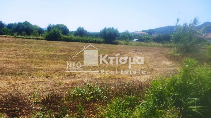 Οικόπεδο 1.942 τ.μ. προς πώληση, Ξυλοκέρα