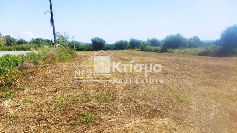 Οικόπεδο 1.942 τ.μ. προς πώληση, Ξυλοκέρα