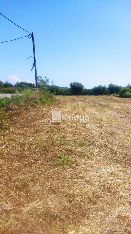 Οικόπεδο 1.942 τ.μ. προς πώληση, Ξυλοκέρα