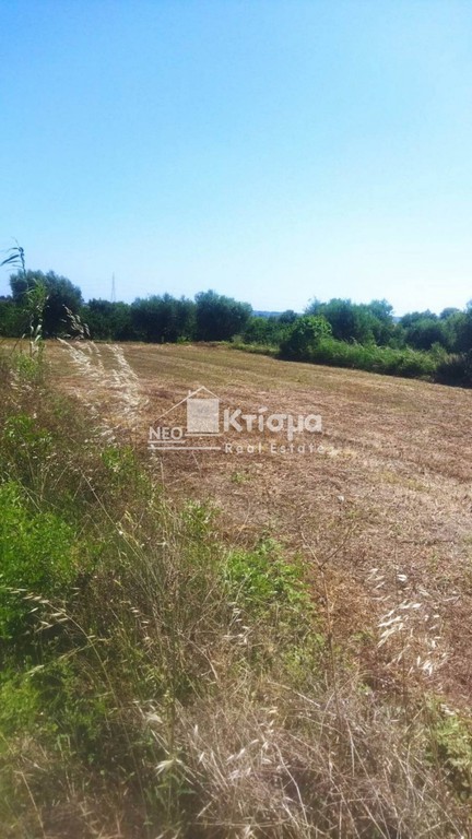 Οικόπεδο 1.942 τ.μ. προς πώληση, Ξυλοκέρα