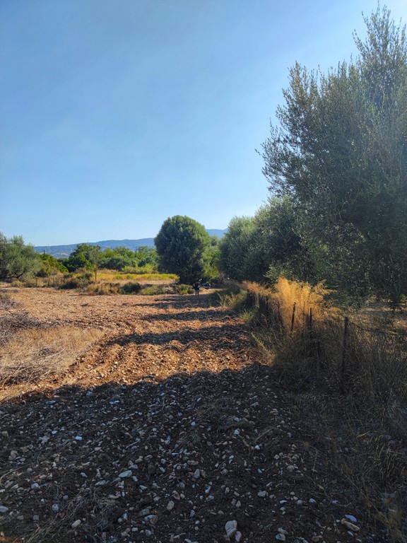 Οικόπεδο 3.337 τ.μ. πρός πώληση, Αχαΐα, Μεσσατίδα
