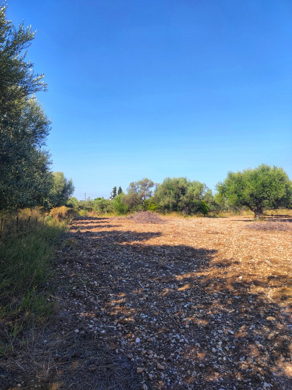 Οικόπεδο 3.337 τ.μ. πρός πώληση, Αχαΐα, Μεσσατίδα