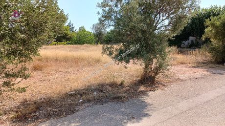 Οικόπεδο 1.266 τ.μ. για πώληση