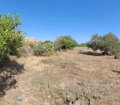 Land plot 1.044sqm for sale-Nikiforos Fokas » Violi Charaki