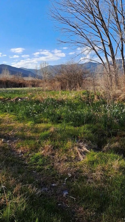 Αγροτεμάχια 270 τ.μ. προς πώληση, Σταυρός Ρεντίνας