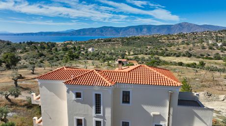 Μονοκατοικία 223τ.μ. για πώληση-Κρανίδι » Παναγίτσα
