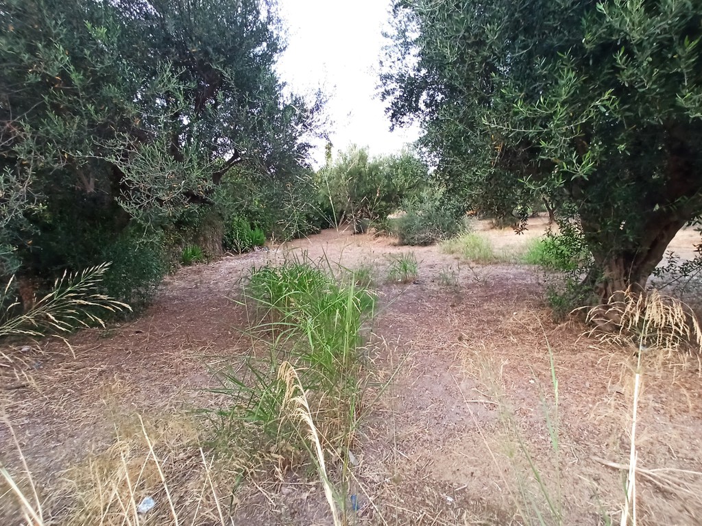 Οικόπεδο 650 τ.μ. για πώληση, Αχαΐα, Πάτρα